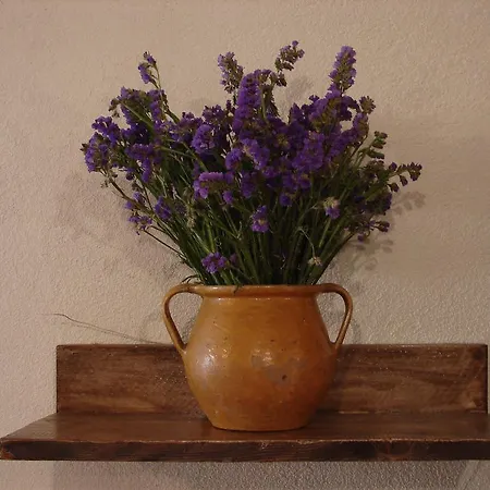 Traditional Rita Ferienhaus *